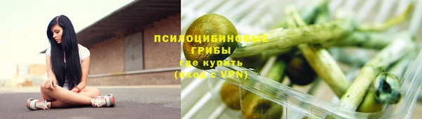 синтетический гашиш Алексин