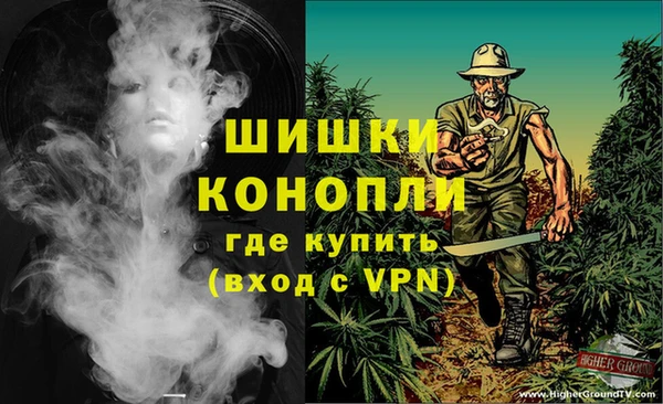 прущая мука Арсеньев
