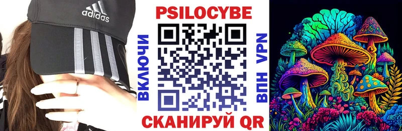 маркетплейс как зайти мега tor Новороссийск Псилоцибиновые грибы мухоморы
