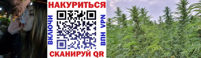 Марихуана сатива  купить наркоту  Новороссийск 